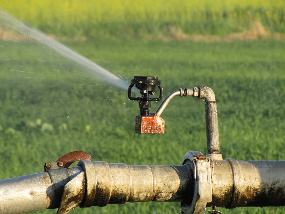 EDILVERDE shop online - irrigatori da giardino, irrigatori per Prato