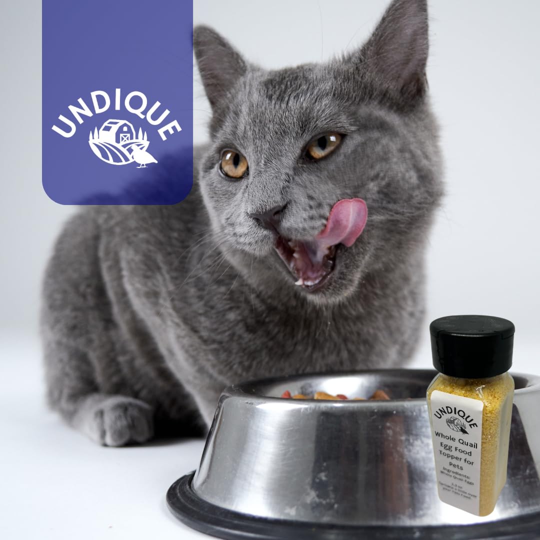 Undique Quailicious Boost - Made in USA High-Protein Quail Egg Cat Food Topper, Freeze-Dried for Cat Digestive Health - Nutrient-Rich, Grain-Free Digestive Support for Cats, Ideal for Picky Eaters