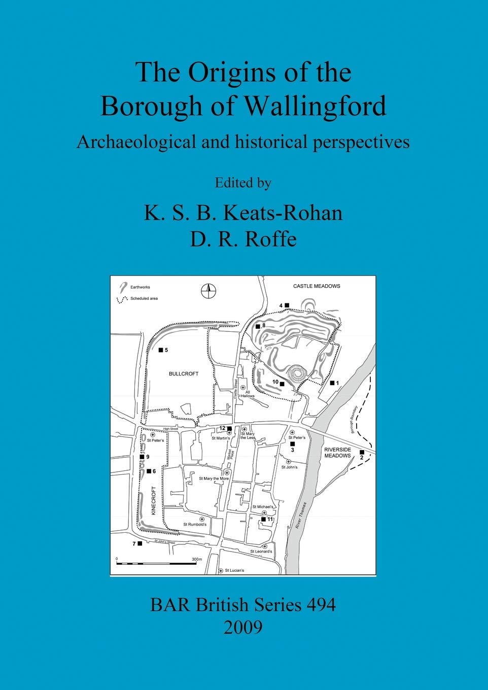 The origins of the Borough of Wallingford: Archaeological and historical perspectives: 494 (British Archaeological Reports British Series)