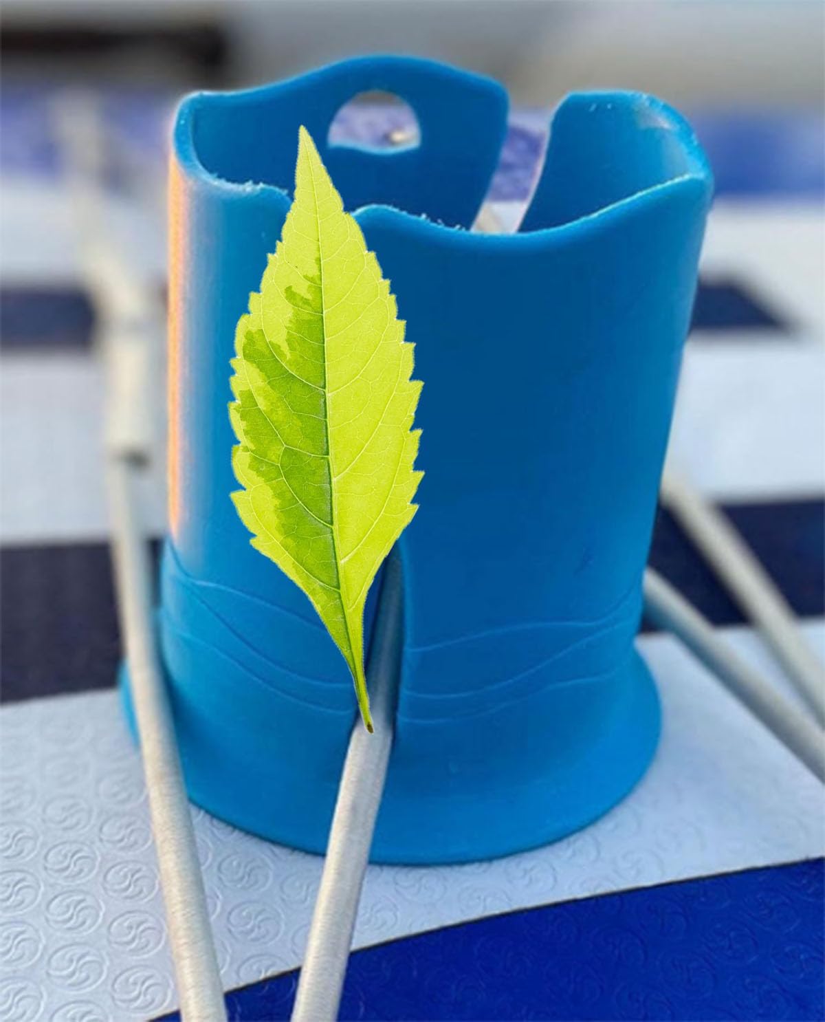 Addle Board Drink Holder Kayak Drink Holder, Multi