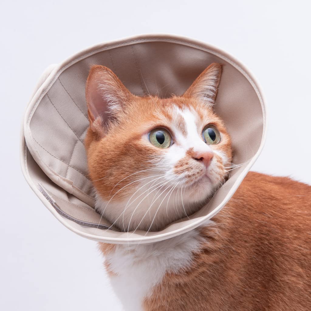 Amazon | ぽぽねこ 軽くて柔らかい猫用エリザベスカラー スタンダード 