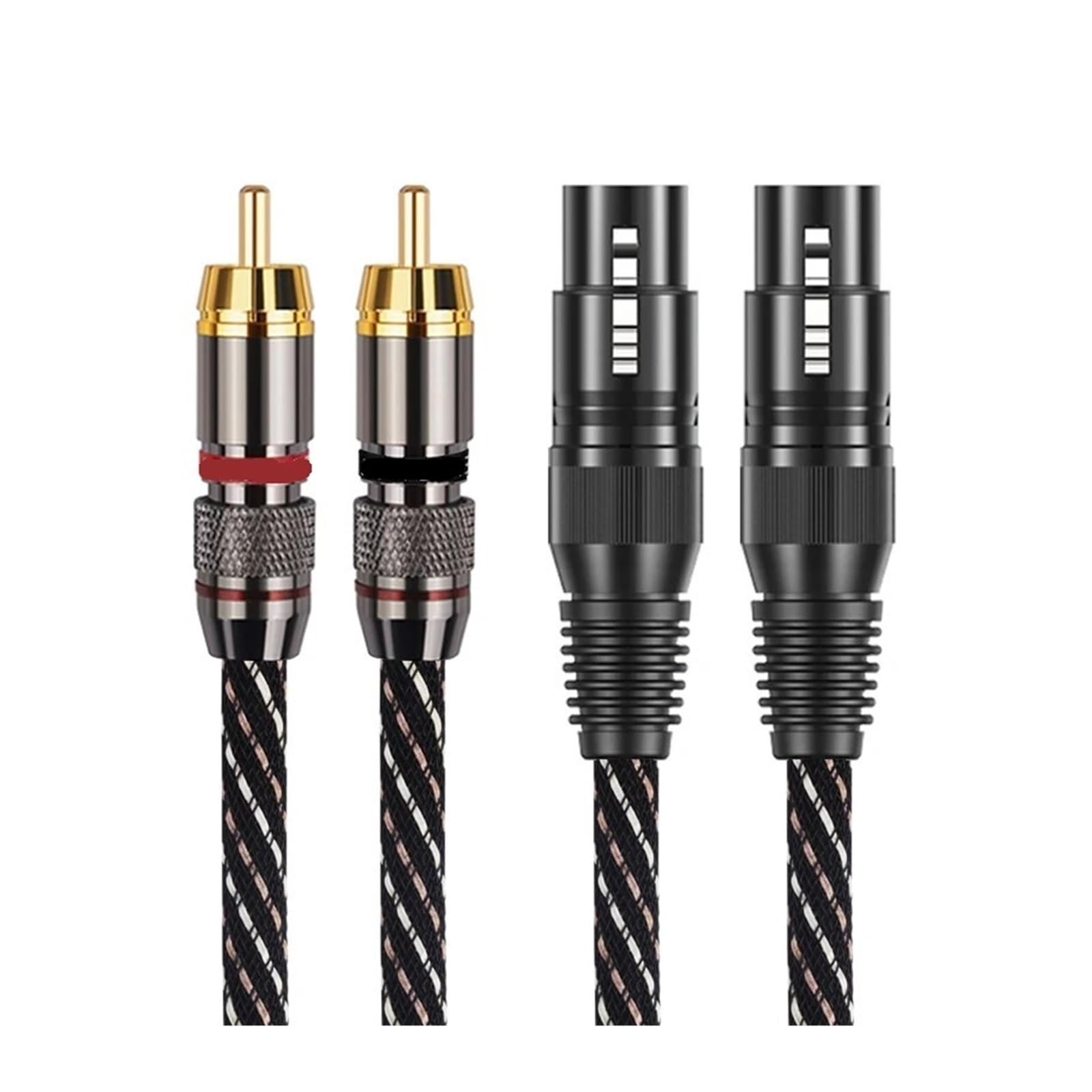 Câble 2RCA vers 2XLR femelle pour brancher un mélangeur de raccordement au haut-parleur du salon