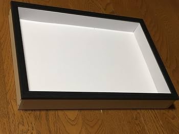 Amazon | 標本箱A3サイズ | 生態・採集 | おもちゃ