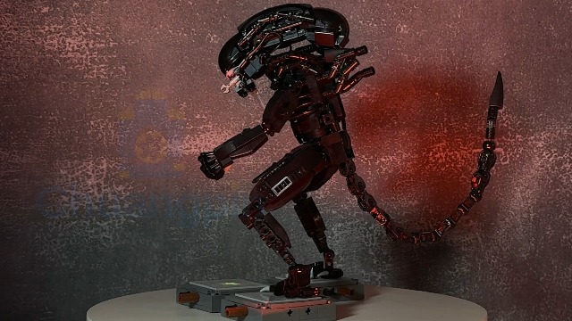 921828_5