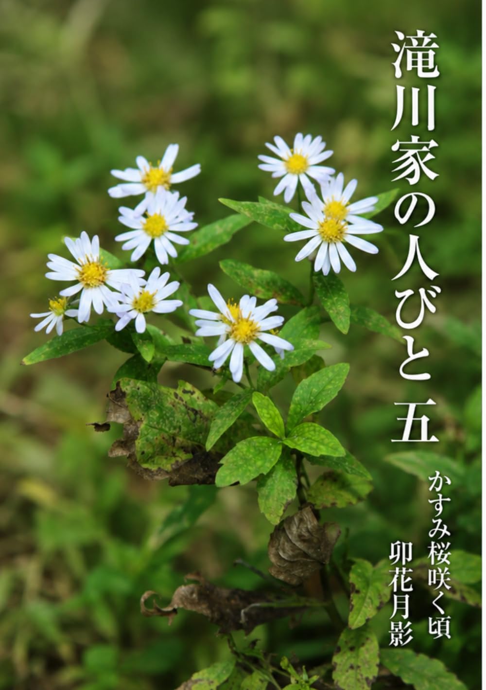 滝川家の人びと５: かすみ桜咲くころ