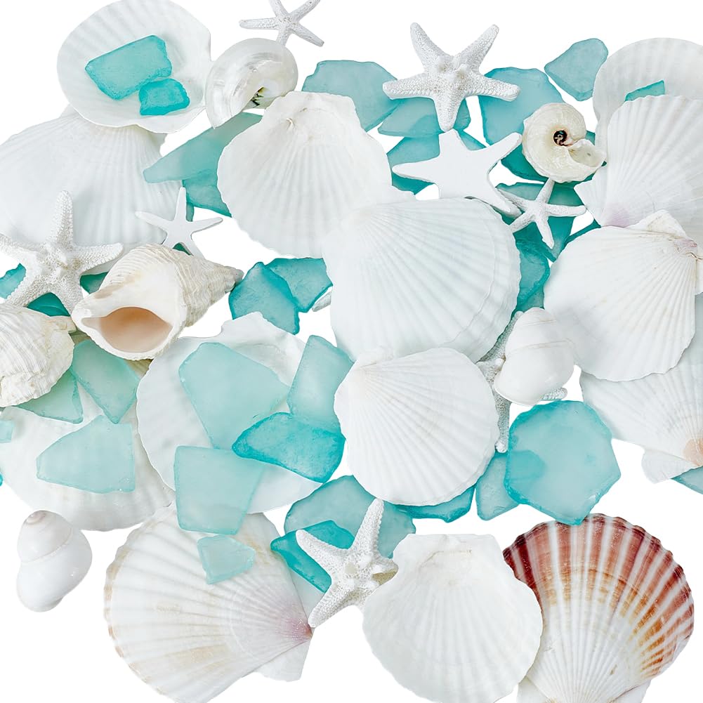 Coquillages naturels et verre de mer vert AHANDMAKER pour décoration de vase