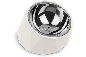 Slanted Dog Bowl for Medium Size Dogs