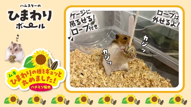 Amazon.co.jp: ミニマルランド ハムスターのひまわりボール 6個入 【3