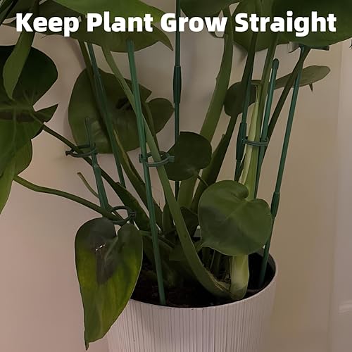 Miniatura 4 de Coloch Paquete de 48 estacas para plantas con 48 clips para plantas y 24 tubos de conexión, altura ajustable para jardín de un solo tallo para