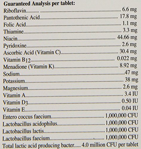 OASIS #80070 Alive and Well, Stress Preventative & Pro-Biotic Tablets for Birds, white, 1 Count (Pack of 1) - Image 4