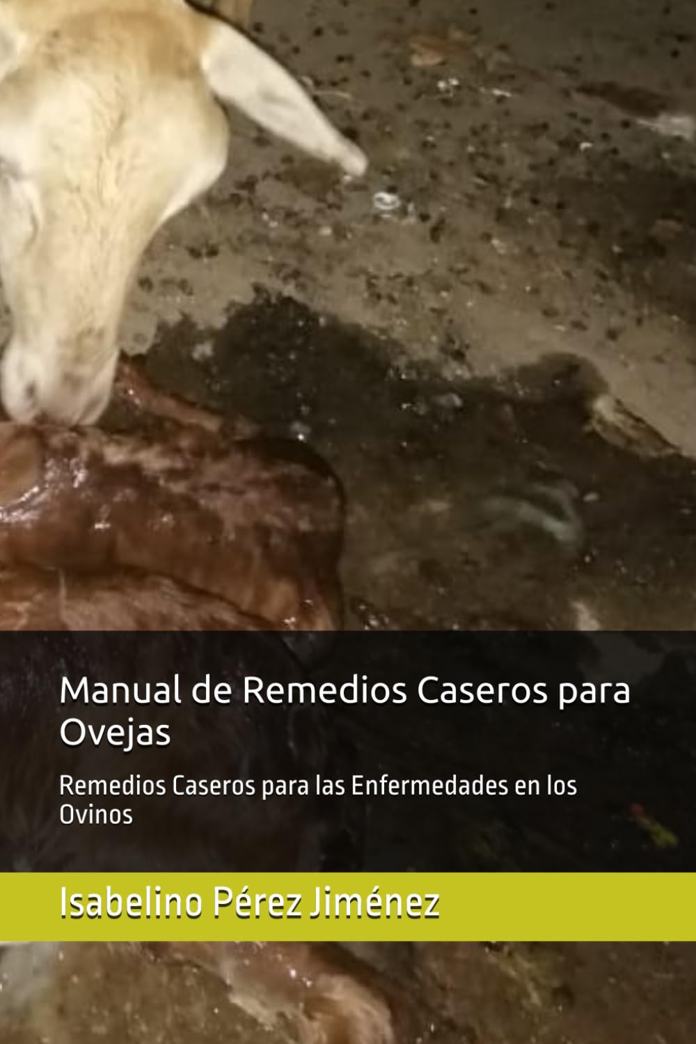 Manual de Remedios Caseros para Ovejas: Remedios Caseros para las Enfermedades en los Ovinos