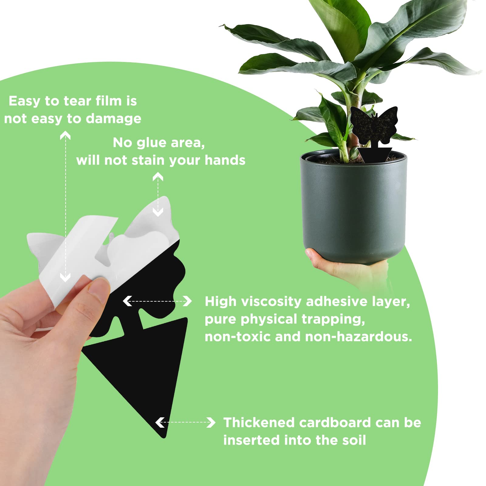 50 Pack Sticky Traps Fruit Fly Fungus Gnat Trap Killer, Joogee Black Dual Sided Gnat Trap, Disposable Insect Catcher Sticky Board,Non-Toxic and Odorless,for Mosquitoes, Houseplant, Garden - 5