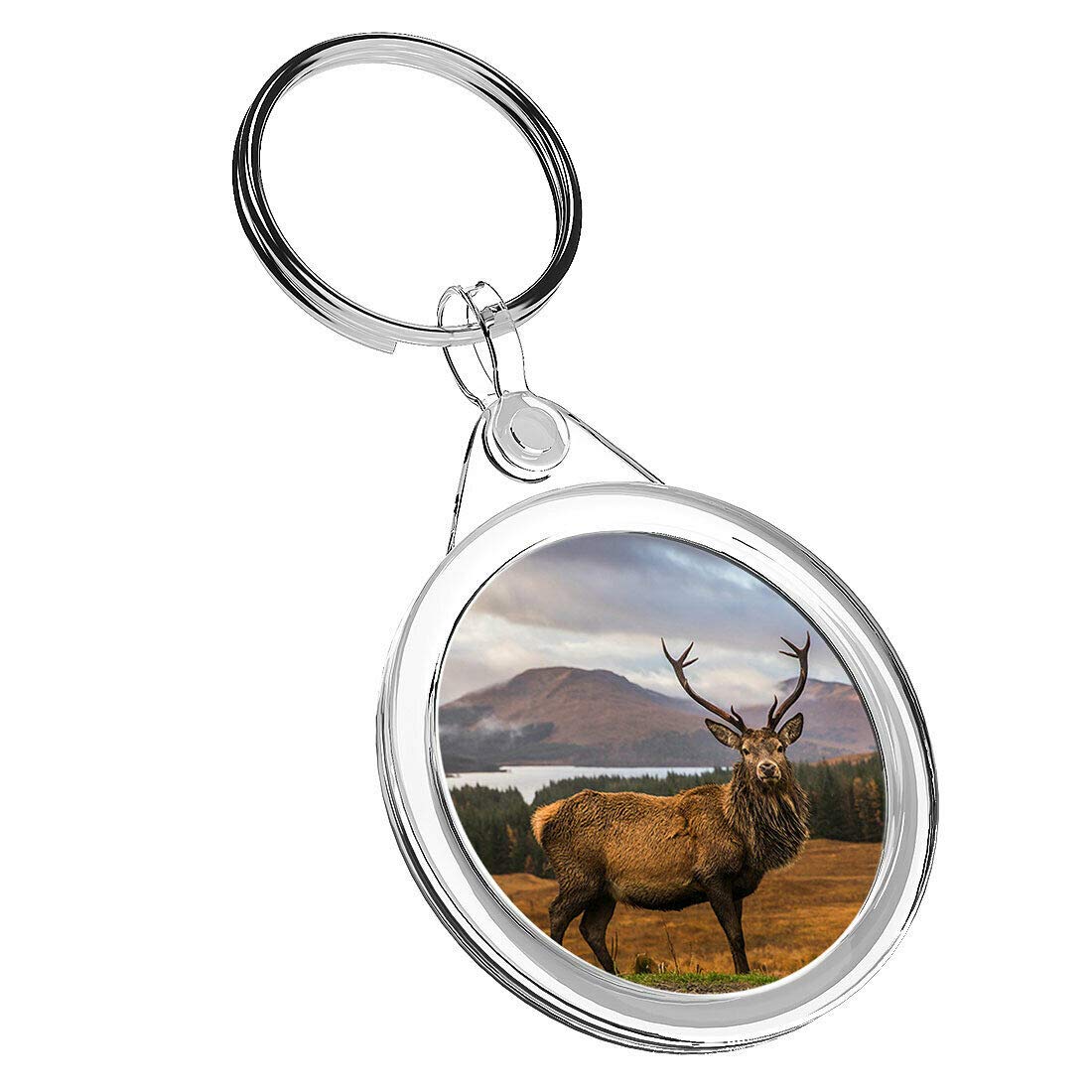 Destination Vinyl Keyrings Unisex Kids Multi 1 X Majestic Stag Deer Scottish - Keyring Ir02 Dad Kids Birthday #14361