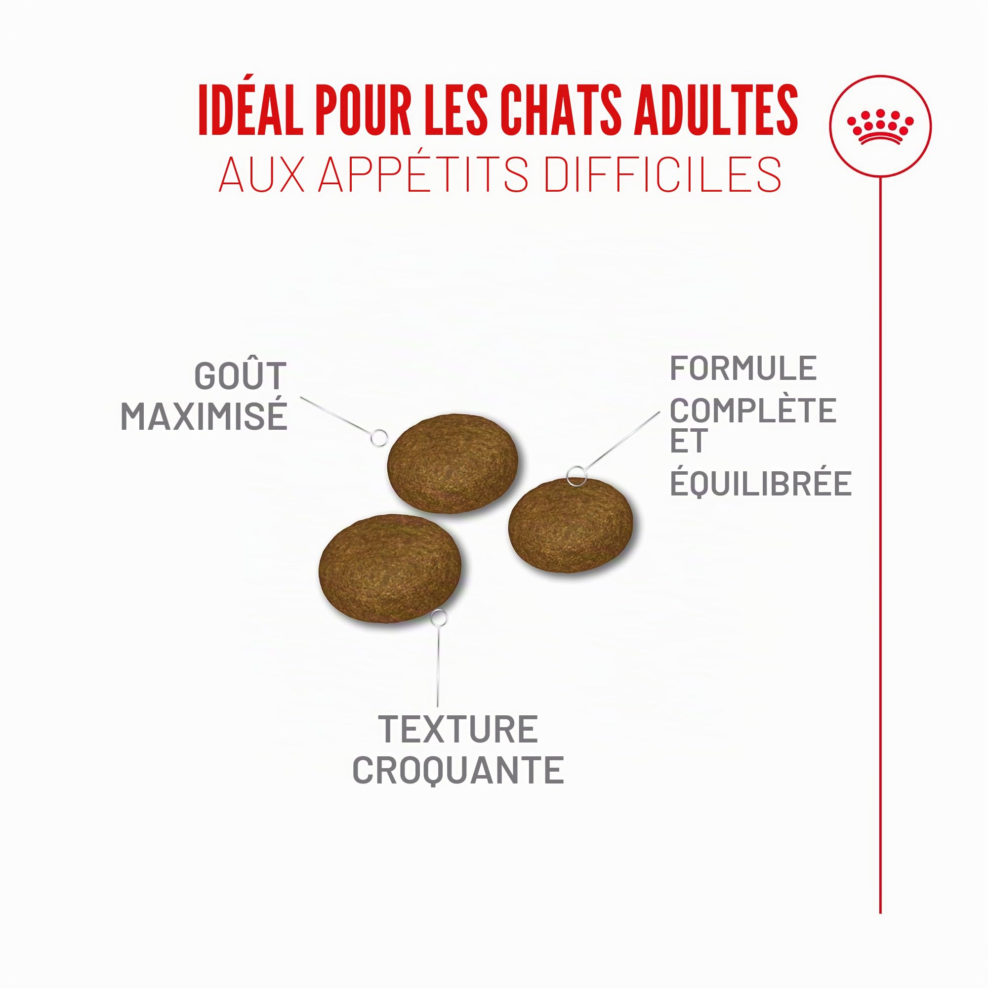 Royal Fussy Exigent Croquettes pour Chat Adulte 1 x 10 kg