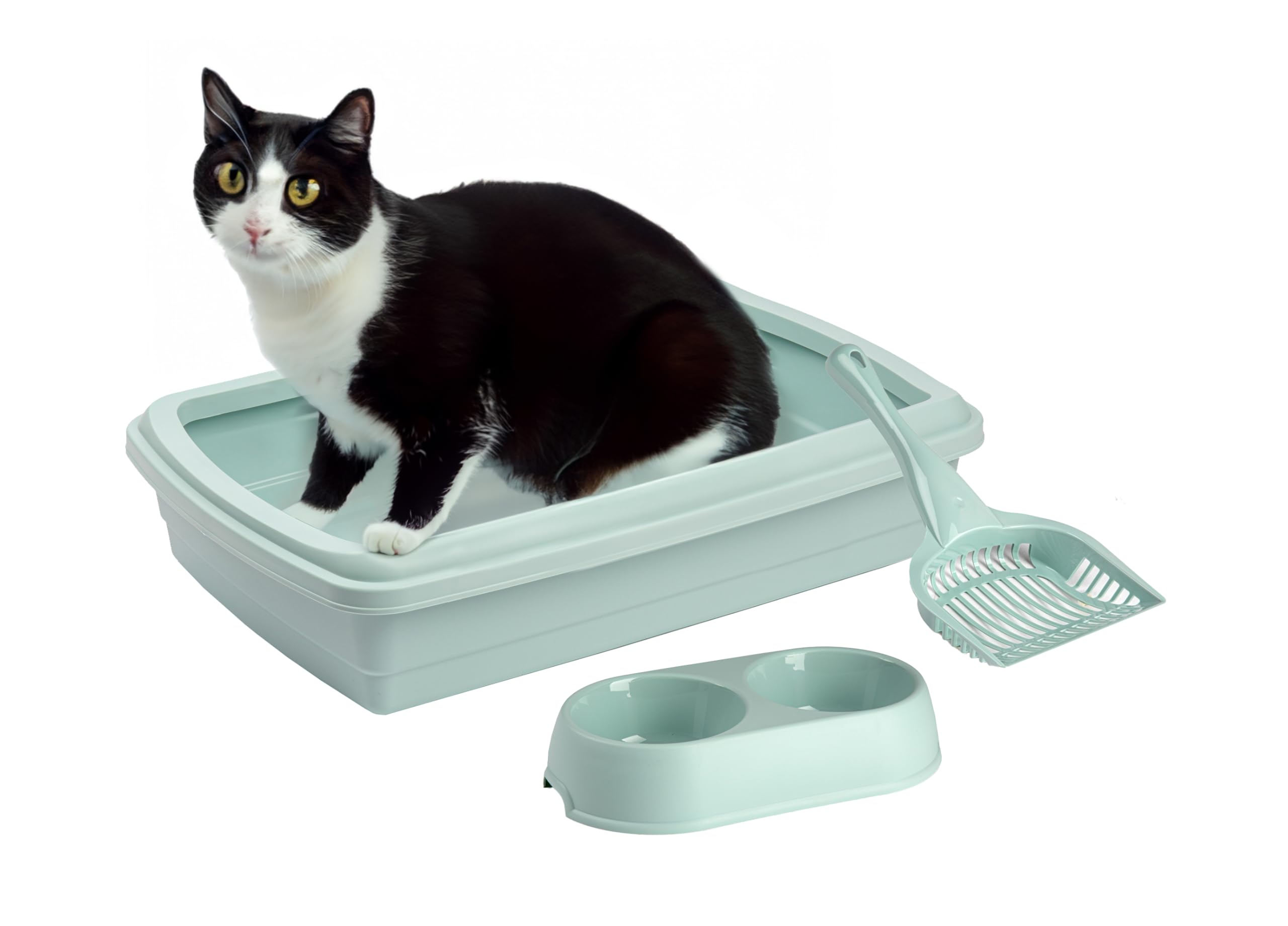 Perfect Cat Starter Set - Comes with Litter Tray & Scoop along with Duo Feeding Bowl Dishes for Food and Milk (Green)