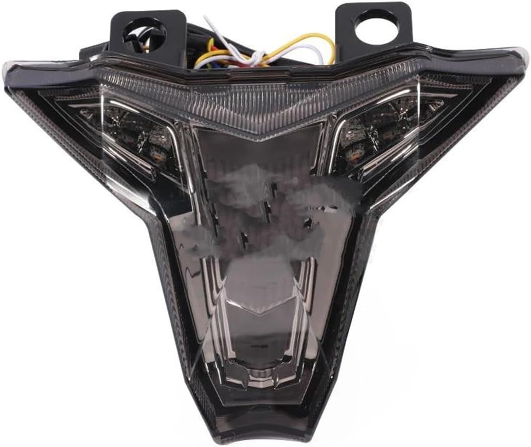 かっしー 一体型ランプ 用 ニンジャ 400 Z400 ZX10R Z1000 ZX6R ZX-6R ZX-10R