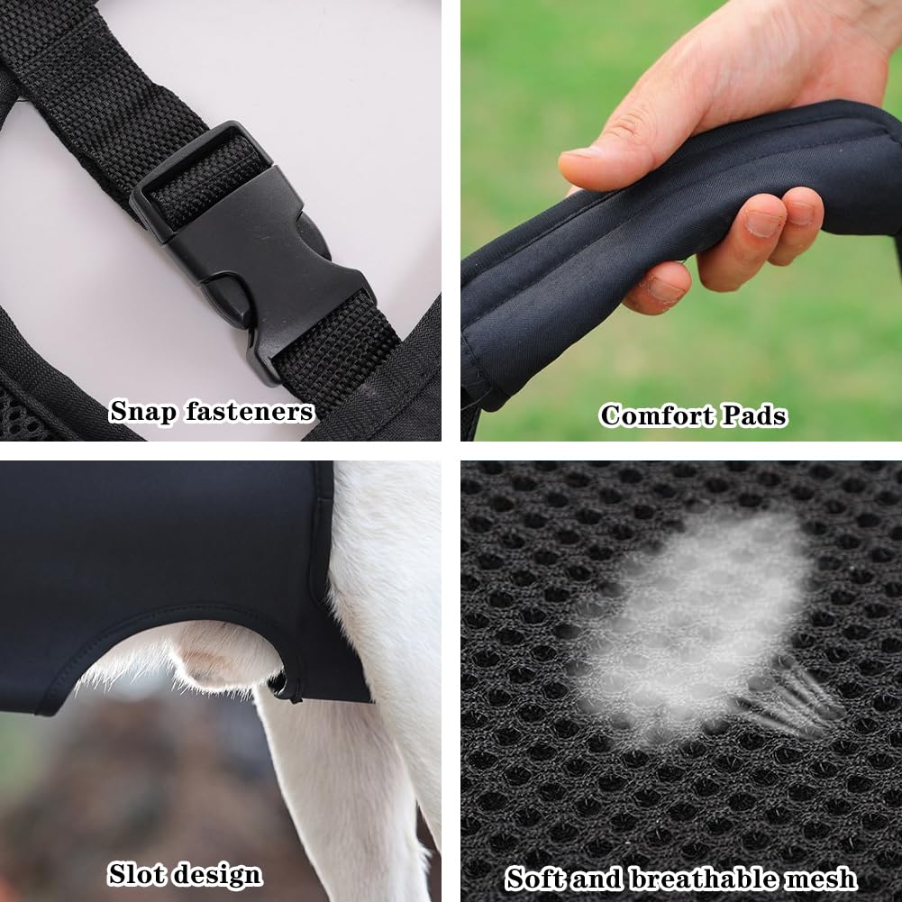 Umllpet Dog Carrying Aid, Carrying Aid, Dog Stairs, Portable Dog Harness - Image 3