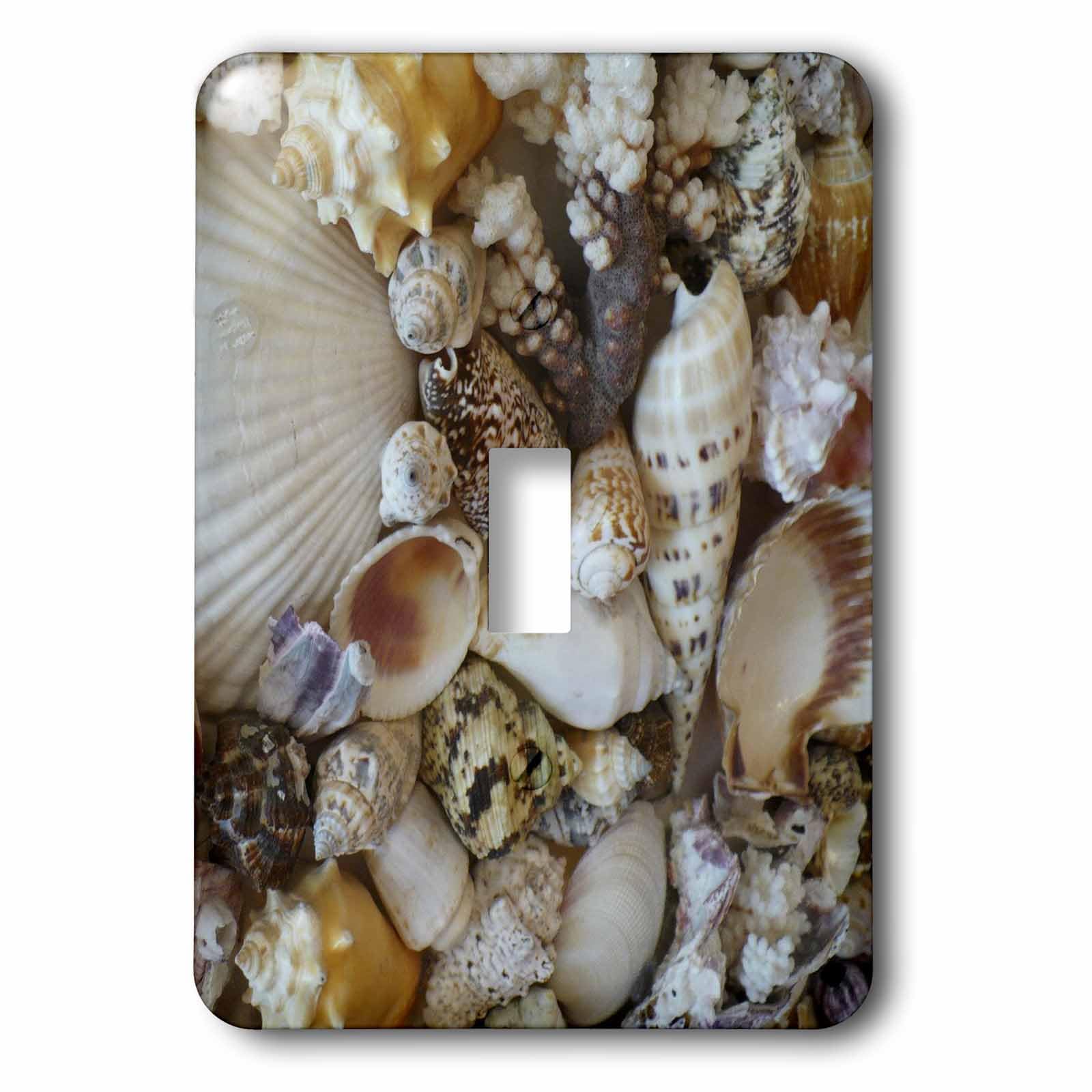Coquillages de Sanibel interrupteur décoratif 3dRose pour une ambiance de maison de plage