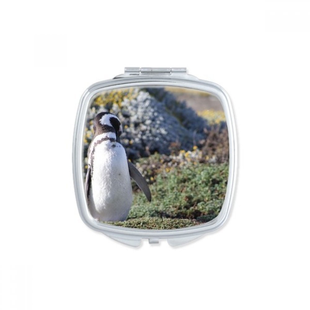 Miroir compact Spheniscidae petit cadeau original pour femme