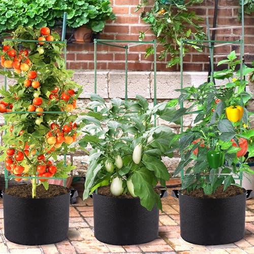 Support pour grimpantes de jardin et potager de balcon urbain - 3