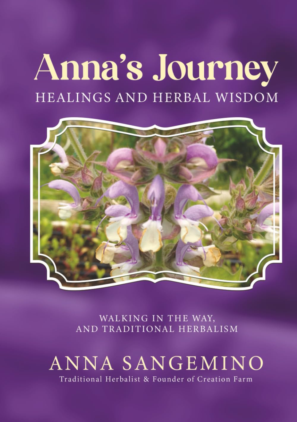 Anna's Journey: Healings and Herbal Wisdom: Walking in the Way, and Traditional Herbalism