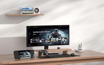 YCE 13-in-1 Dual Fan Steam Deck Dock suitable Valve Steam Deck & OLED/Switch & 2 / Asus ROG Ally & X/Lenovo Legion Go & S & 2/MSI Claw,Nintendo Switch 2 dock,Steam Deck accessories,docking station