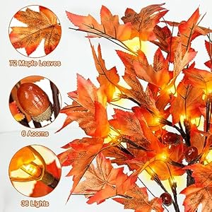 FastDeng 1.5ft Lighted Maple Tree, Artificial Fall Tree Light, Timer 36 LED Light, 72 Leaves, 6 Acorns Autumn Tabletop Tree Battery Operated for Indoor Fall Harvest Home Decor, Thanksgiving Decoration FastDeng 15ft Lighted Maple Tree Artificial Fall Tree Light Timer 36 LED Light 72 Leaves 6 Acorns Autumn Tabletop Tree Battery Operated for Indoor Fall Harvest Home Decor Thanksgiving Decoration