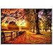 Puzzle per Adulti Puzzle da 5000 Pezzi Puzzle in Legno Puzzle Campo mattutino Giocattolo Decompressione per Bambini Adulti