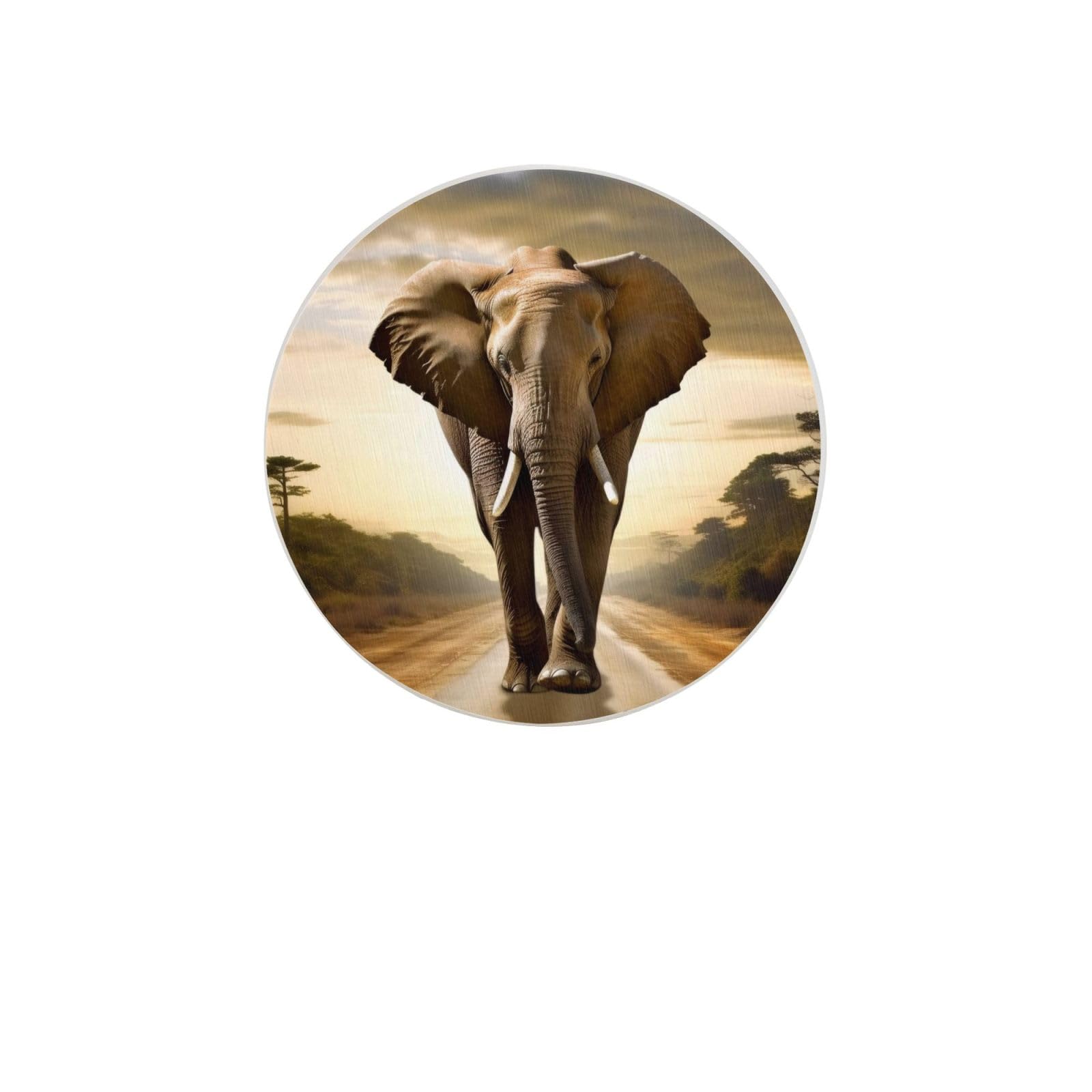 3D Elephant Absorbent Drink Coasters Diatomaceous Round Coaster 4 Inch Reusable Cup Coasters Set 4pc