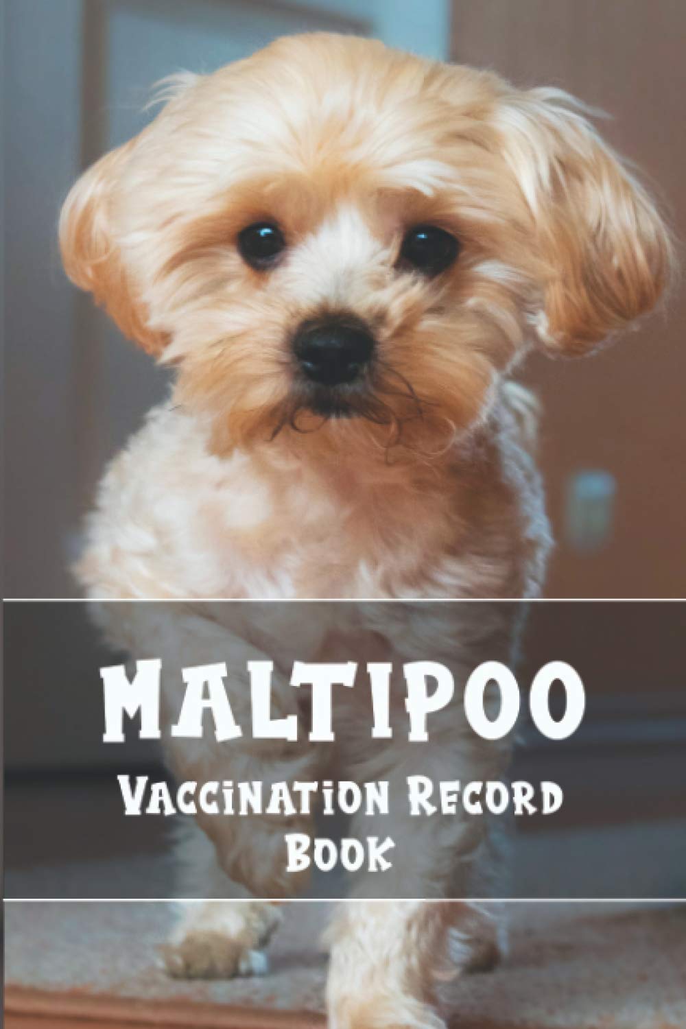 Maltipoo Vaccination Record Book: Health Record Book with Immunization Log, Shots Record Card, Weight, Medical Treatments, Maltipoo Daily Care and ...