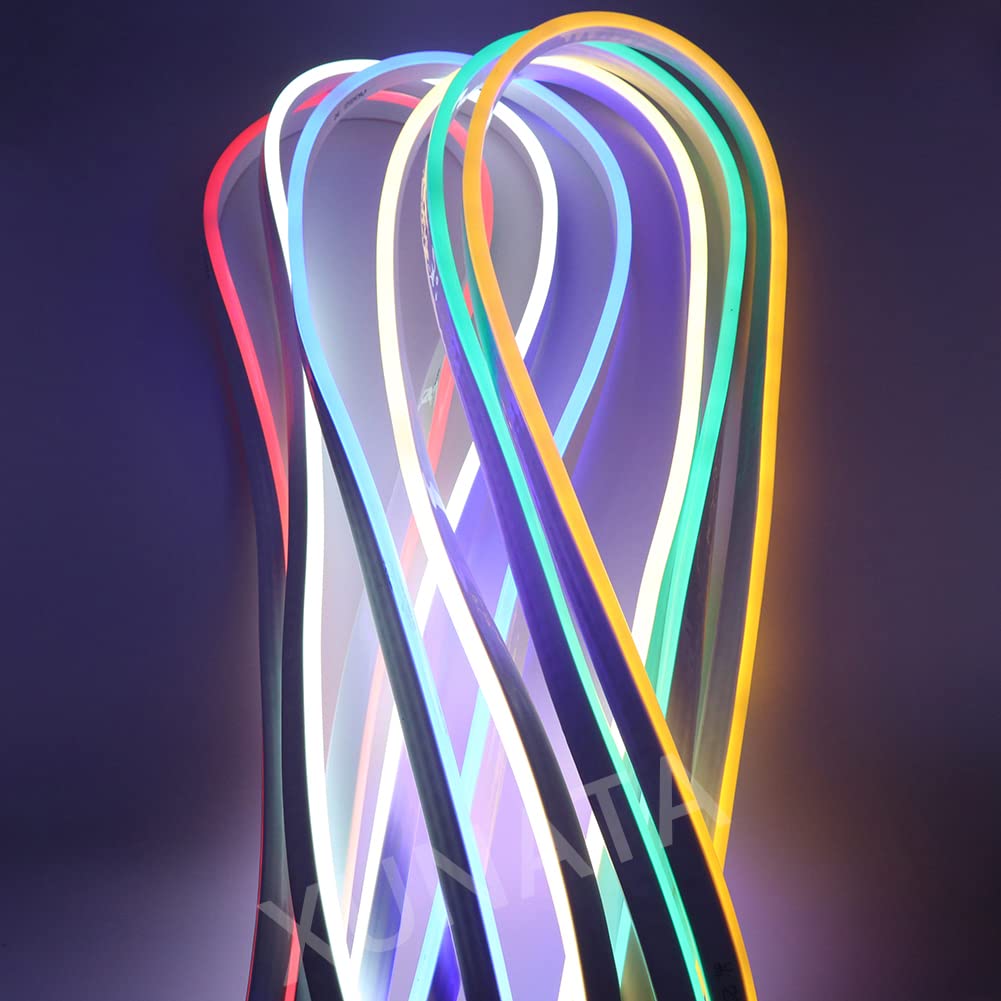 KISUFU RGB Neon LED Streifen,Neon Wasserdicht Strip 220V Outdoor Flexibler DIY Lichtband für Innen Weihnachtsfeier Aussenbereich Schlafzimmer, Schrank, Bar,mit Netzteil und 24 Tasten Controller (5m)