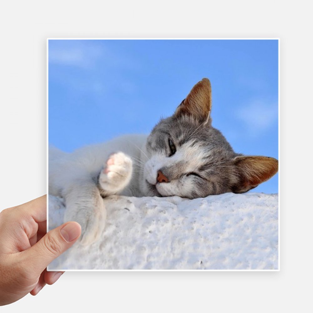 Sticker chat 20 cm autocollant résistant pour protéger et décorer votre pc portable et mur