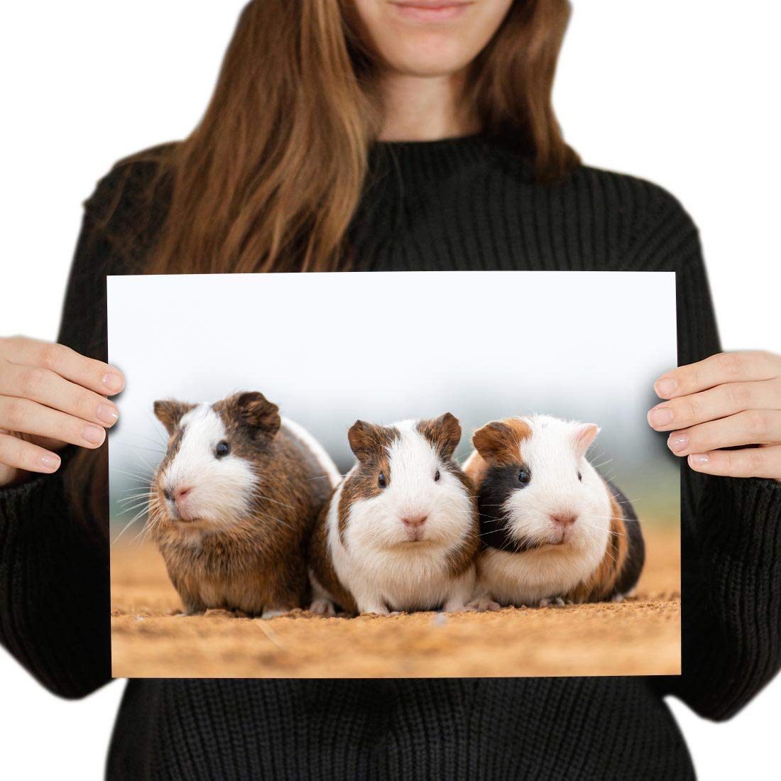 Destination Vinyl Posters A4 - Cute Guinea Pigs Pet Animal Art Print 29.7 X 21 cm 280gsm satin gloss photo paper #2326