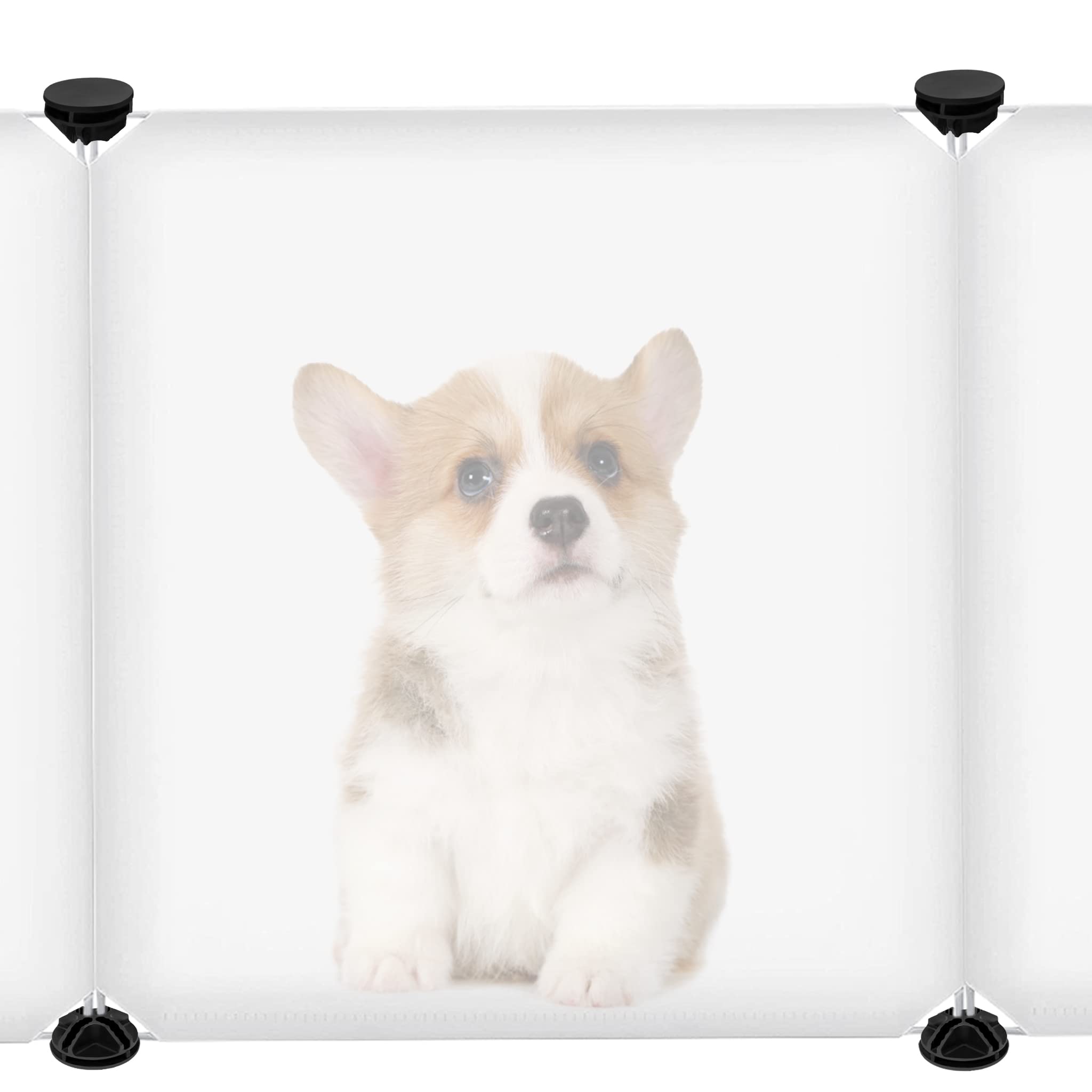Recinto per piccoli animali in rete metallica 145x75x48 cm trasparente
