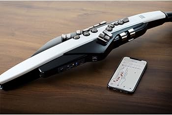 Amazon | Roland/AEROPHONE AE-20 エアロフォン デジタル管楽器