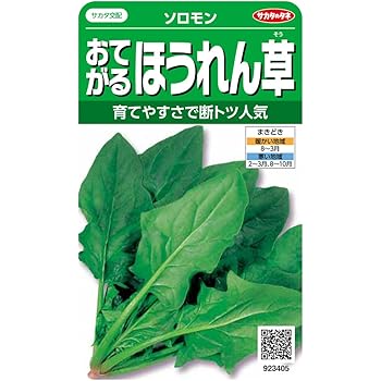 Amazon Co Jp サラダほうれんそう トキタのほうれん草種です ホーム キッチン