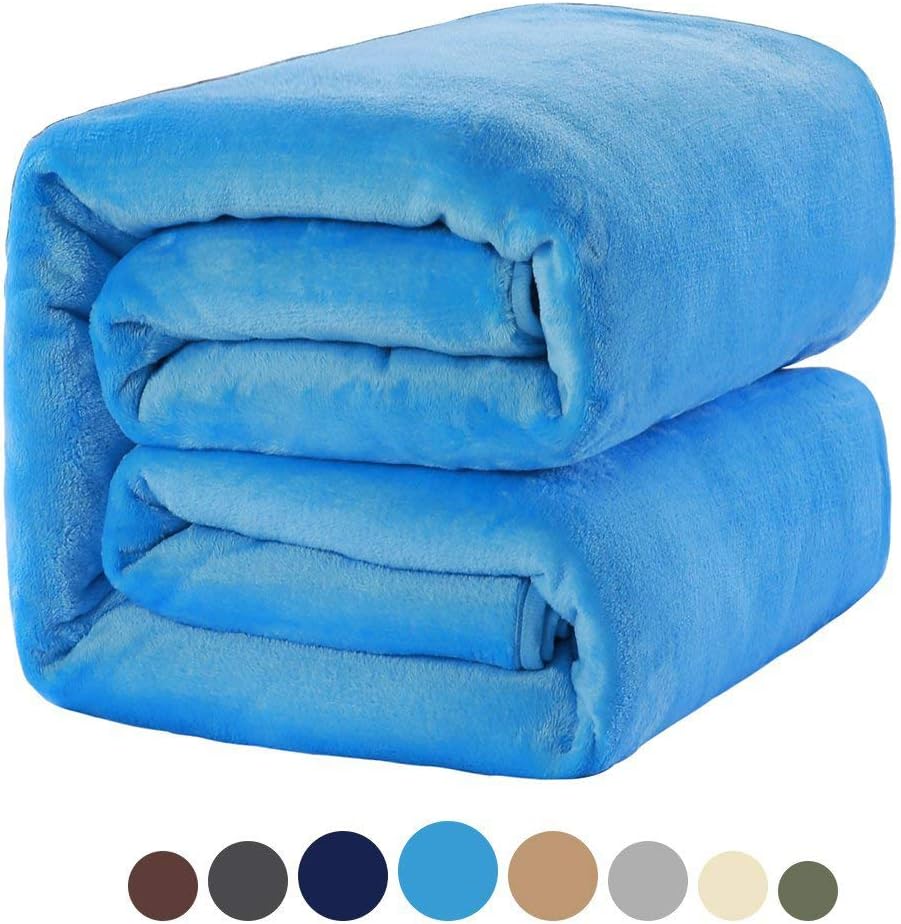 MEROUS Soft Queen Size Fleece Bed Summer Blanket 330 GSM Warm Cozy Microfiber Fuzzy Lightweight All Season Blankets for Couch Travel Sofa, Sky Blue