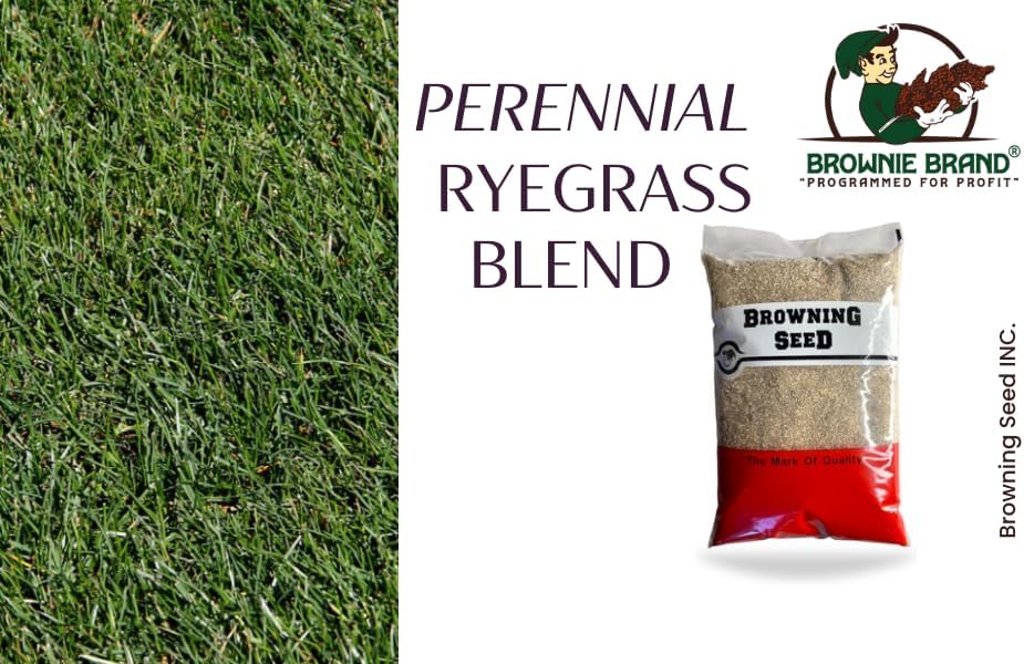 Brownie Brand Perennial Ryegrass Blend 5LBS (Seed)