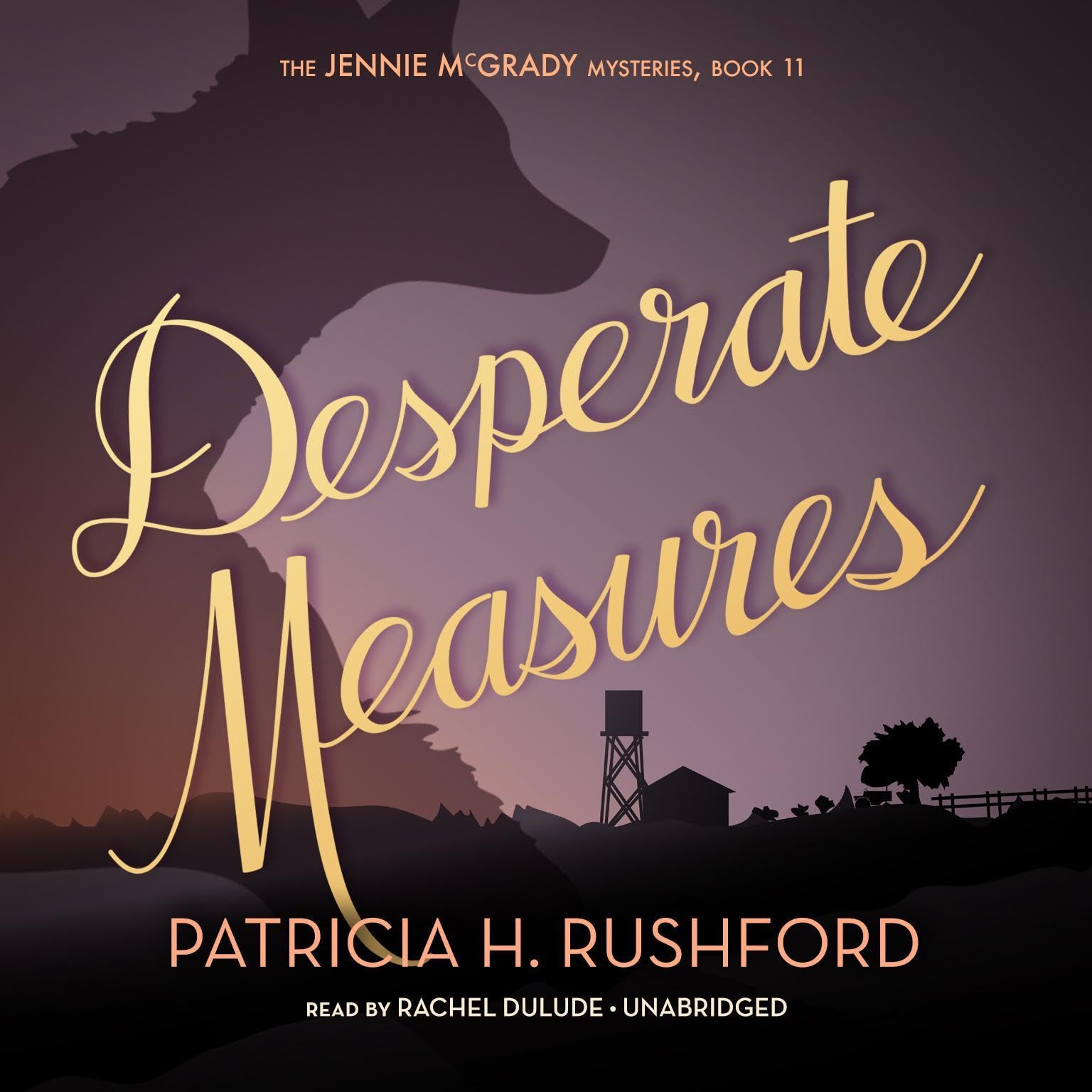 Cover art for Desperate Measures: The Jennie McGrady Mysteries, Book 11