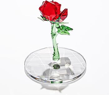 612Ho7kKHIL._AC_UF350,