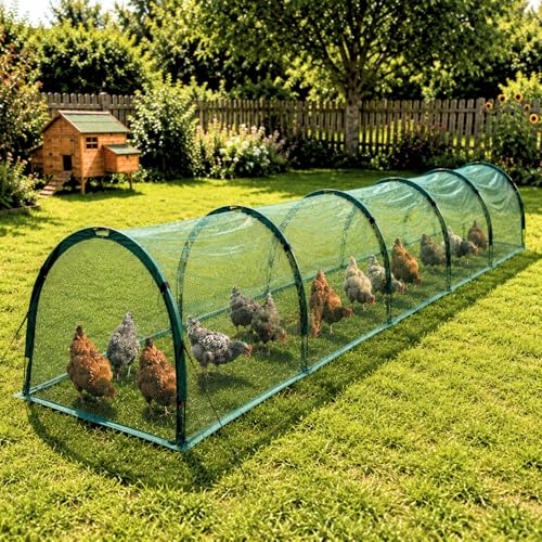 GardenSkill Poulailler Cage a Lapin Exterieur 500x100cm...