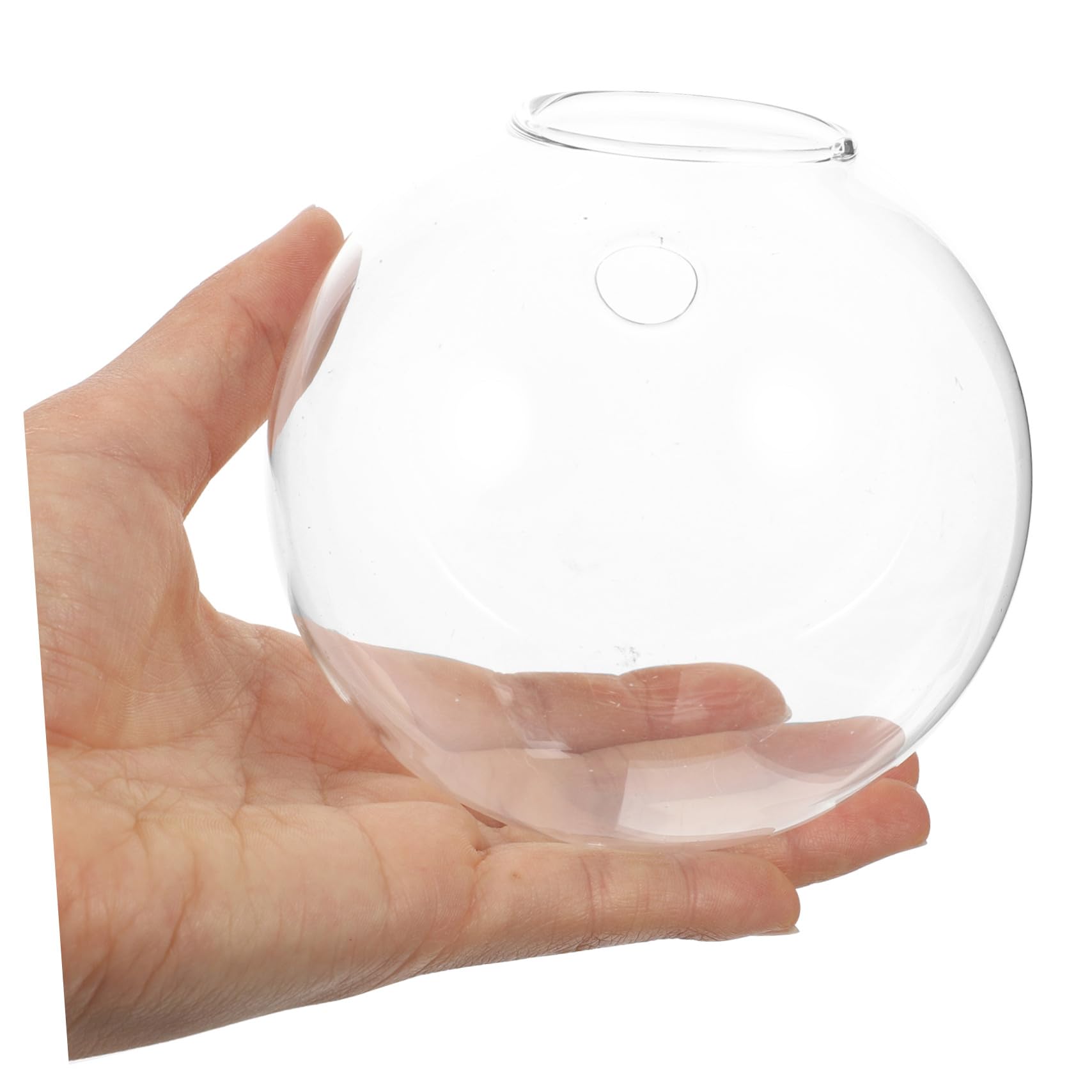 Alipis 4 pièces Lot de Vases Hydroponiques Verre Transparent à Suspendre Mur Support Mural pour Plantes Intérieur Propagation Décoration Élégante pour Maison et Bureau