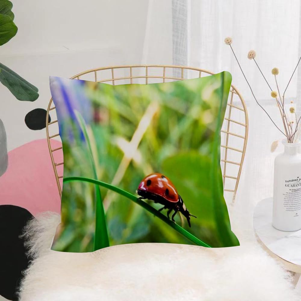 HYOSXW Cushion Cover,Throw Pillow Case Home Decorative for Living Room Bedroom Sofa Chair 16X16 Inch,Red-shelled ladybug, a tiny creature in the green grassland,Pillowcase 40X40cm