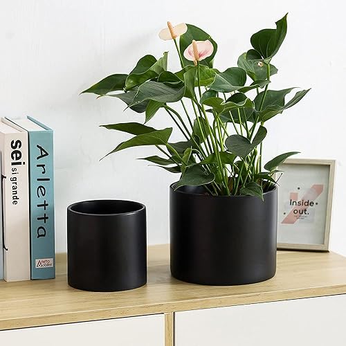 Miniatura 7 de Nihow Maceta de cerámica de 5 y 7 pulgadas para plantas de interior, para hierbas, serpientes, suculentas, orquídeas, maceta cilíndrica, color negro