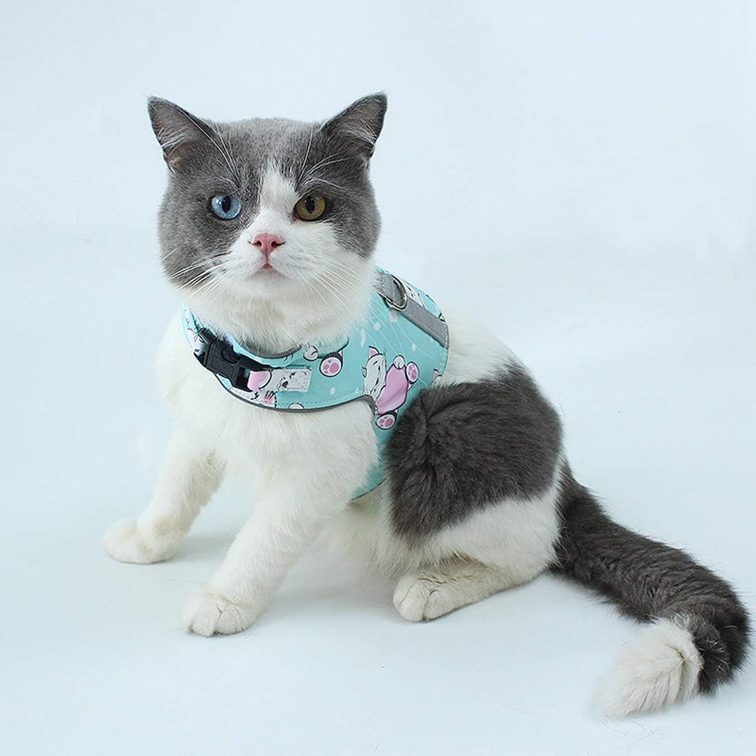 Dimerryi Cat Harness and Leash for Walking Escape Proof Reflective Adjustable Vest Harness Outdoor Breathable Mesh Jacket for Cat Small Dog with Innovative Anti-Lost Cards