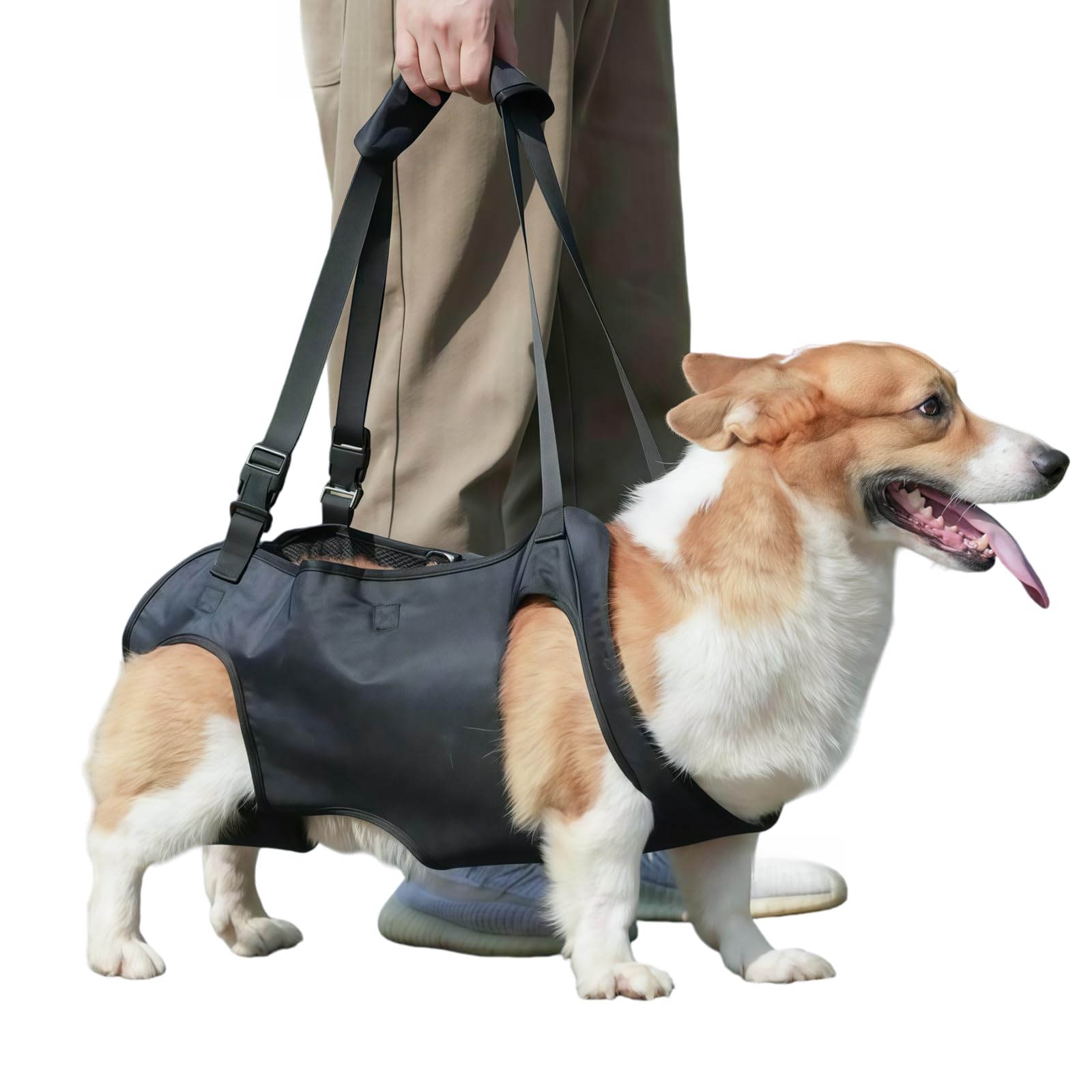 Dog Harness with Back and Hip Support, Dog Carrying Aid Soft Support Loop for Rear Legs, with Carry Handle and Safety Holder for Disabled, Injured or Elderly Dogs, 4-11 kg