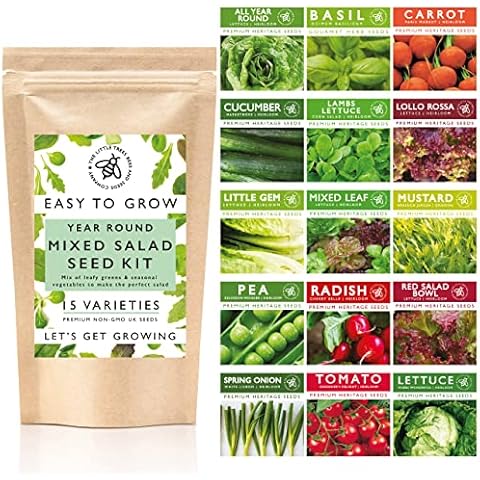 All Year Round Salad and Vegetable Seeds Kit Cover