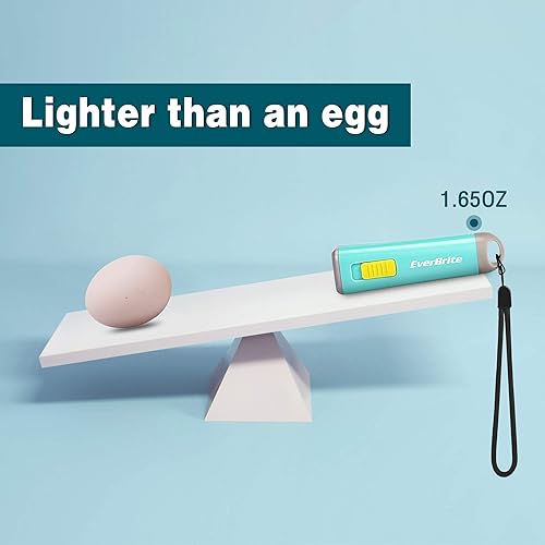 Miniatura 8 de EverBrite Paquete de 10 mini linternas LED