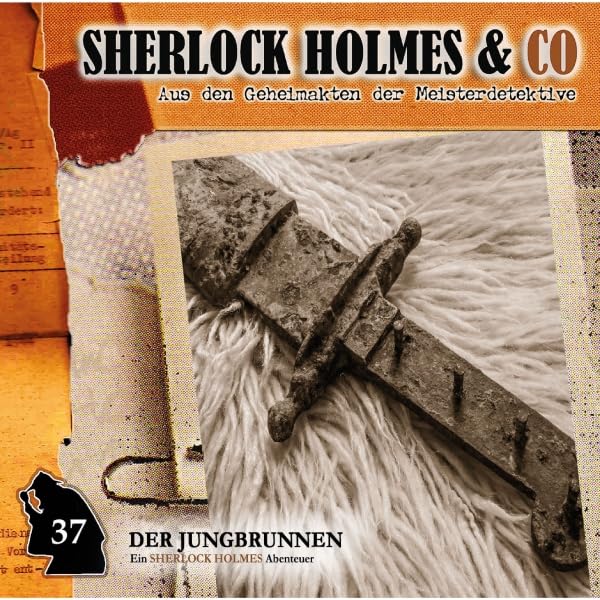 Cover art for Der Jungbrunnen 2