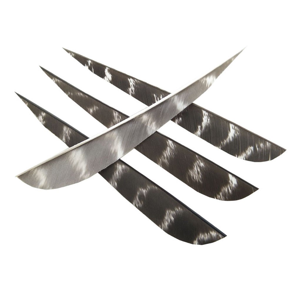 SHARROW 50 Plumes Flèche Naturelle 4 Pouces Bouclier - Plumes Dinde Pour Tir à L'Arc Et Chasse